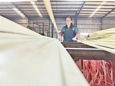赤水经开区贵州新锦竹木制品有限公司生产车间,工人胡永连在选片。 张浪 摄